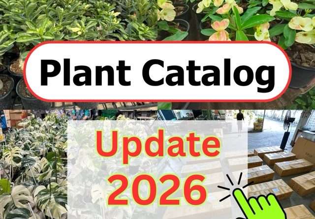 Ewaterplant Catalog 2026